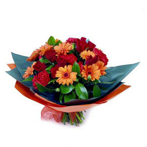 kar���k mevsim �i�ekleri anneler g�n�  sevgililer g�n�  i�yeri tayin ve i�e ba�lama hastahane her t�r g�nderebilece�iniz mevsim �i�ekleri  �i�e�i