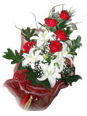 1 dal kazablanka ve 5 adet kaliteli g�rsel k�rm�z� g�l