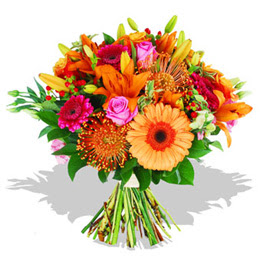 kar���k mevsim �i�ekleri anneler g�n�  sevgililer g�n�  i�yeri tayin ve i�e ba�lama hastahane her t�r g�nderebilece�iniz mevsim �i�e�i g�rsel haldedir mevsim kar���k �i�ekler kullan�lmaktad�r.